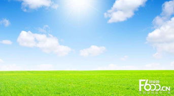 睿容空氣凈化器加盟指南 加盟費(fèi)、官網(wǎng)、條件流程及政策支持解析