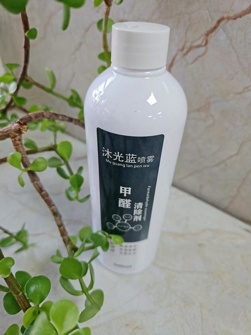 2025年家用除甲醛方法效果大測評(píng) 睿容環(huán)保等產(chǎn)品深度解析